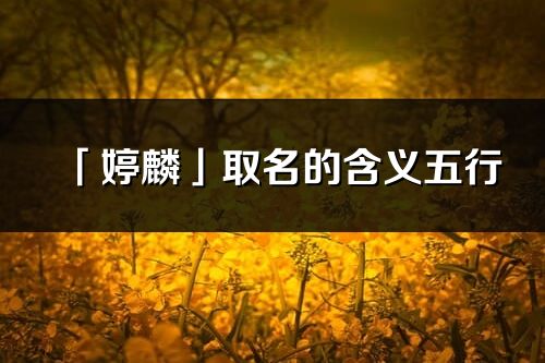 「婷麟」取名的含義五行_婷麟名字寓意解釋