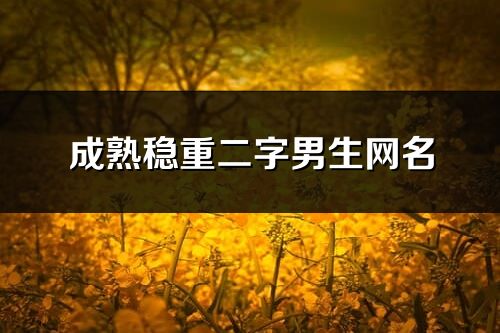 成熟穩重二字男生網名(171個)