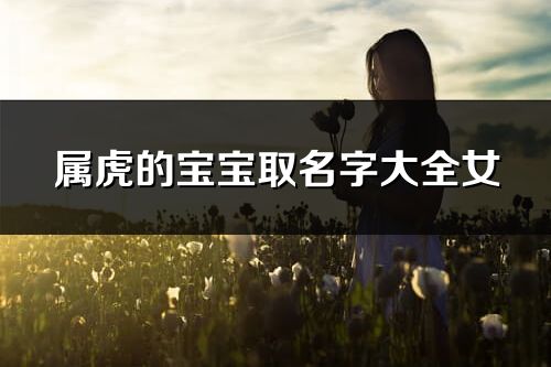 屬虎的寶寶取名字大全女