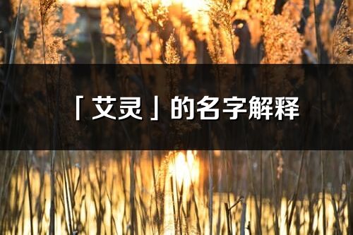 「艾靈」的名字解釋_艾靈含義分析