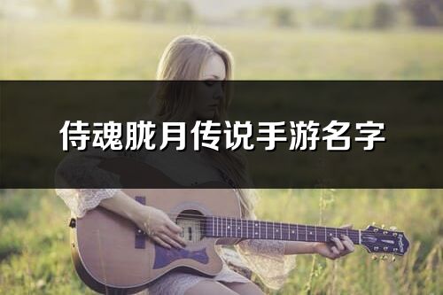 侍魂朧月傳說手游名字(共236個(gè))