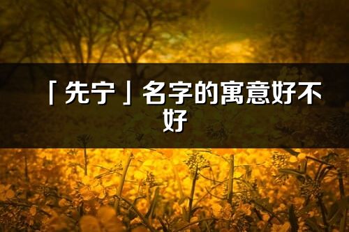 「先寧」名字的寓意好不好_先寧含義分析