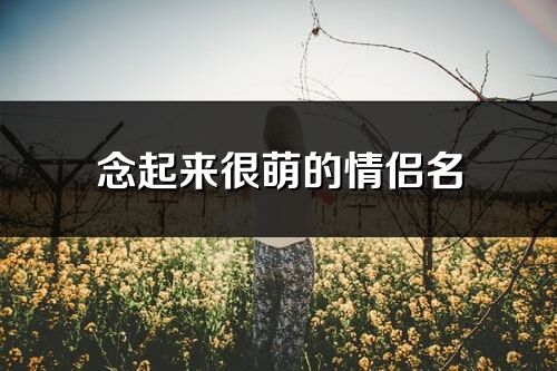 念起來很萌的情侶名(共77個)