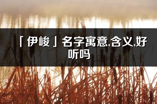 「伊峻」名字寓意,含義,好聽嗎_伊峻名字分析打分