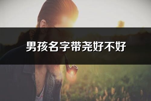 男孩名字帶堯好不好