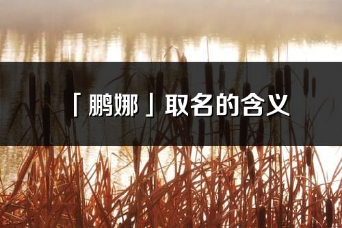「鵬娜」取名的含義_鵬娜名字寓意解釋