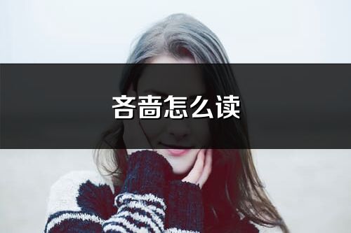 吝嗇怎么讀_吝嗇的讀音
