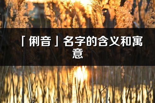 「俐音」名字的含義和寓意_俐音的出處與意思解釋