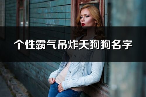 個性霸氣吊炸天狗狗名字(共135個)