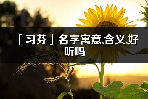 「習(xí)芬」名字寓意,含義,好聽嗎_習(xí)芬名字分析打分