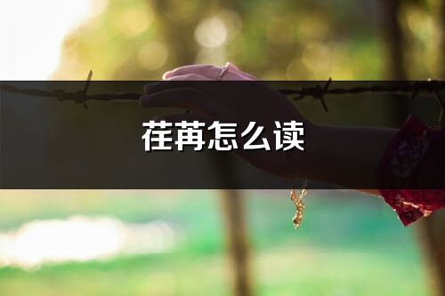 荏苒怎么讀_荏苒的讀音