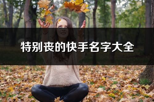 特別喪的快手名字大全(共68個)