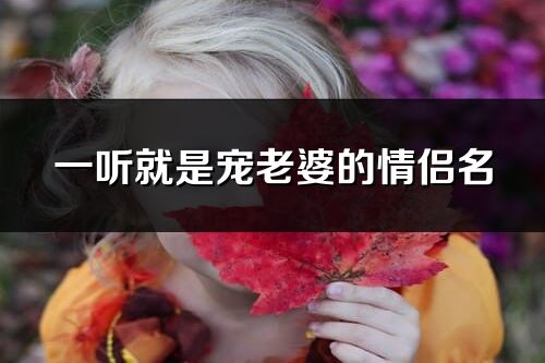 一聽就是寵老婆的情侶名(63個)