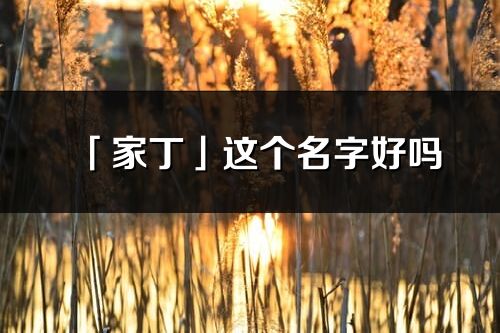 「家丁」這個名字好嗎_家丁名字寓意,含義