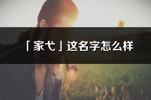 「家弋」這名字怎么樣_家弋的名字解釋