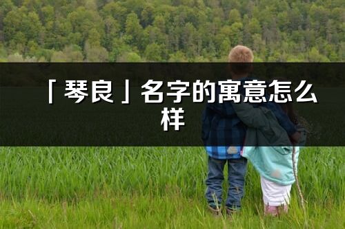 「琴良」名字的寓意怎么樣_琴良的出處