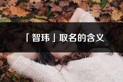 「智瑋」取名的含義_智瑋名字寓意解釋