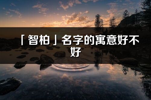 「智柏」名字的寓意好不好_智柏含義分析