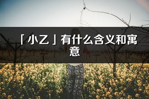 「小乙」有什么含義和寓意_小乙名字的出處與意思