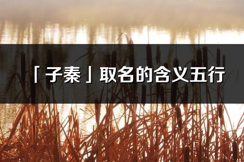 「子秦」取名的含義五行_子秦名字寓意解釋