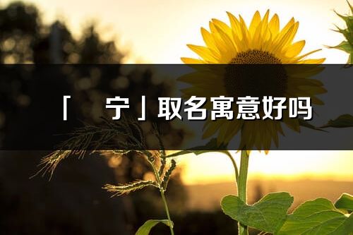 「璟寧」取名寓意好嗎_璟寧名字含義及五行