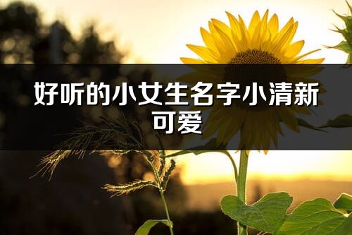 好聽的小女生名字小清新可愛