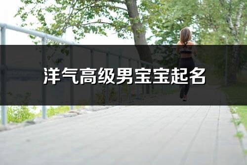 洋氣高級男寶寶起名