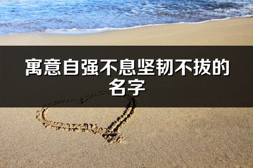 寓意自強不息堅韌不拔的名字