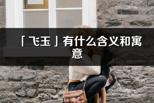 「飛玉」有什么含義和寓意_飛玉名字的出處與意思