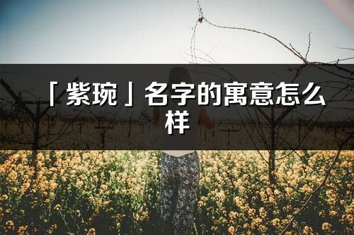 「紫琬」名字的寓意怎么樣_紫琬的出處