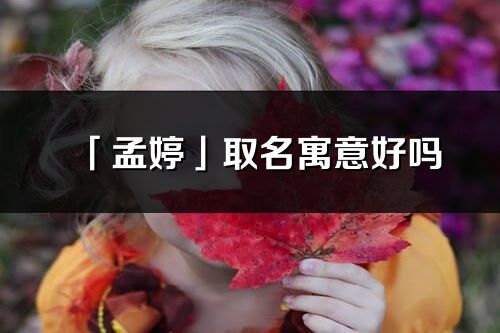 「孟婷」取名寓意好嗎_孟婷名字含義及五行