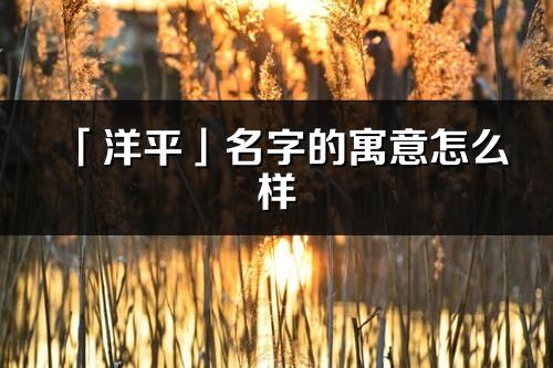 「洋平」名字的寓意怎么樣_洋平的出處