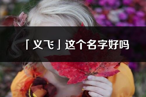 「義飛」這個名字好嗎_義飛名字寓意,含義