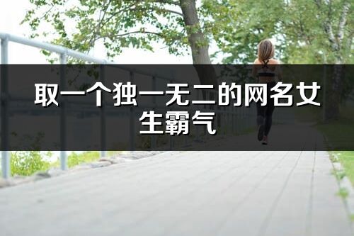 取一個獨一無二的網名女生霸氣(優選204個)