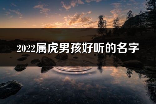 2022屬虎男孩好聽(tīng)的名字