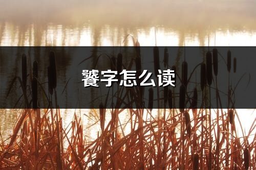 饕字怎么讀_饕的讀音