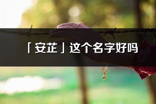 「安芷」這個名字好嗎_安芷名字寓意,含義
