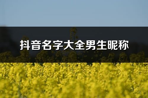 抖音名字大全男生昵稱(優選438個)