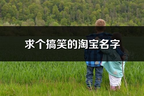 求個搞笑的淘寶名字(共174個)