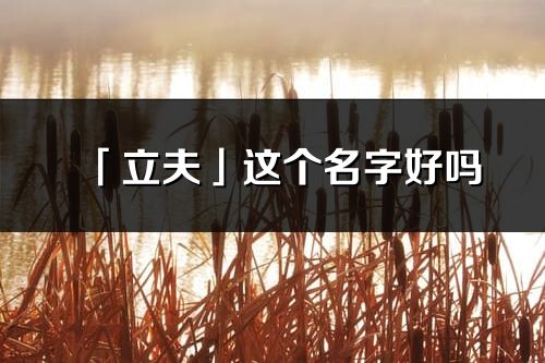 「立夫」這個名字好嗎_立夫名字寓意,含義
