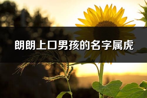 朗朗上口男孩的名字屬虎