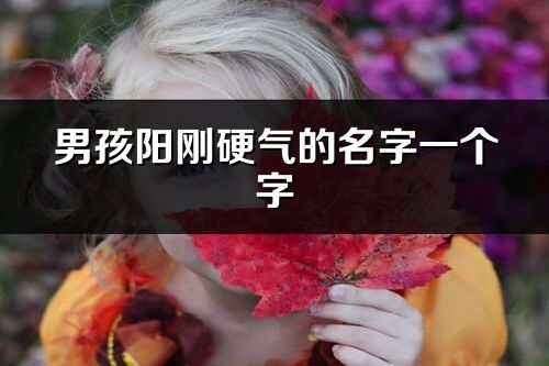 男孩陽剛硬氣的名字一個字