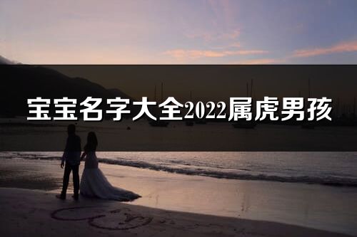 寶寶名字大全2022屬虎男孩