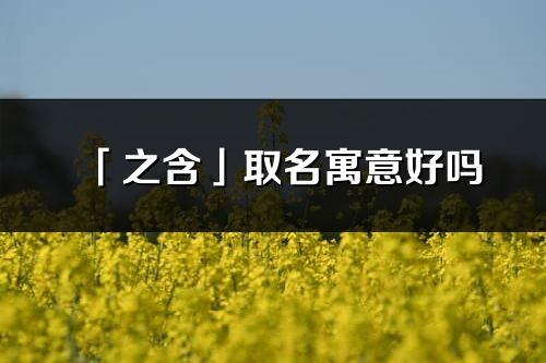 「之含」取名寓意好嗎_之含名字含義及五行