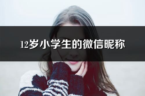 12歲小學生的微信昵稱