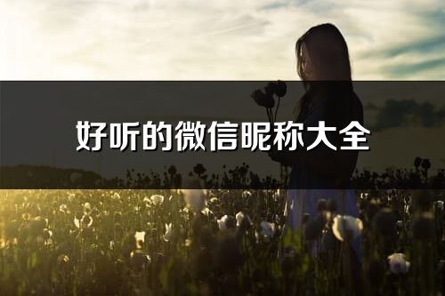好聽的微信昵稱大全(優選256個)
