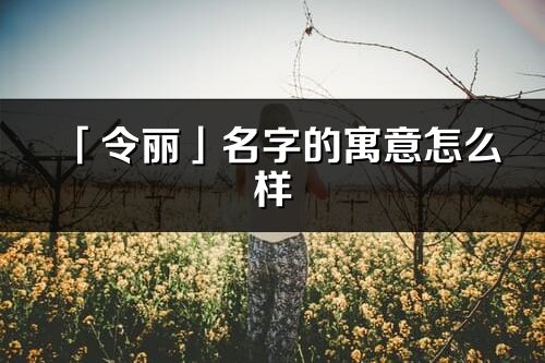 「令麗」名字的寓意怎么樣_令麗的出處