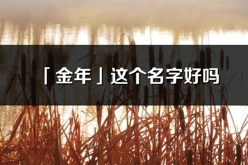 「金年」這個名字好嗎_金年名字寓意,含義