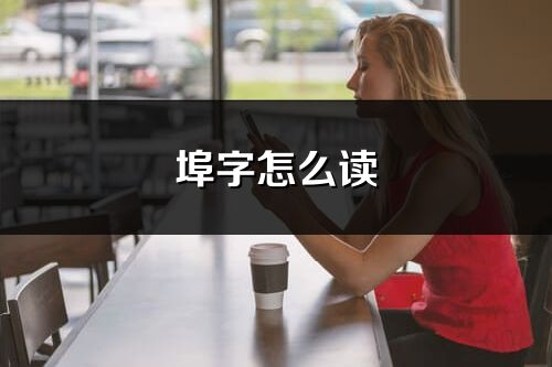 埠字怎么讀_埠的讀音