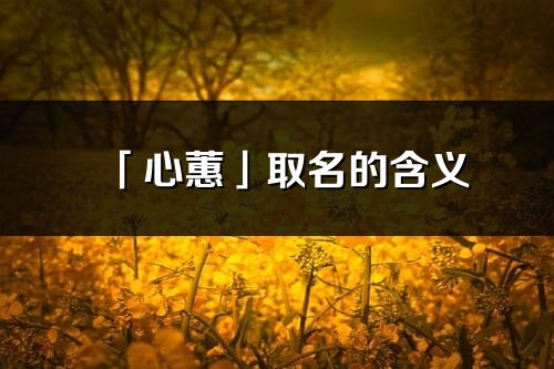 「心蕙」取名的含義_心蕙名字寓意解釋